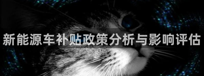 和娱乐门徒相似的小说:新能源车补贴政策分析与影响评估