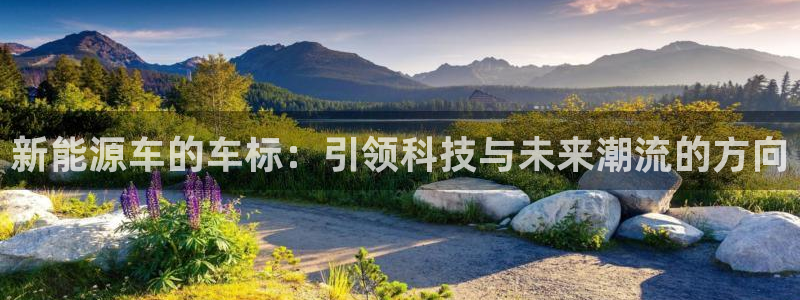 类似娱乐门徒这种的小说:新能源车的车标:引领科技与未来潮流的