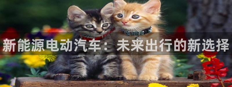 门徒娱乐大爆料视频播放