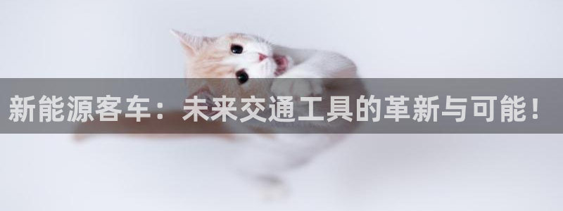 门徒娱乐官网登录入口登录手机版:新能源客车:未来交通工具的革