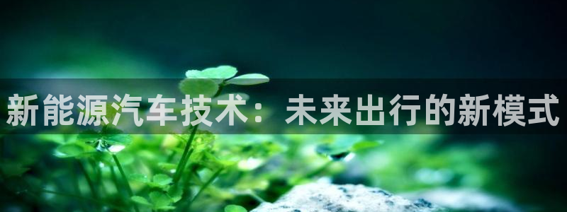门徒娱乐是正规公司吗:新能源汽车技术:未来出行的新模式