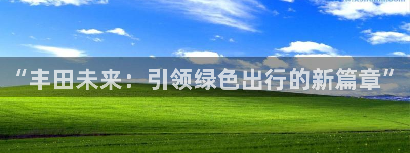 门徒娱乐跑路了:“丰田未来:引领绿色出行的新篇章”