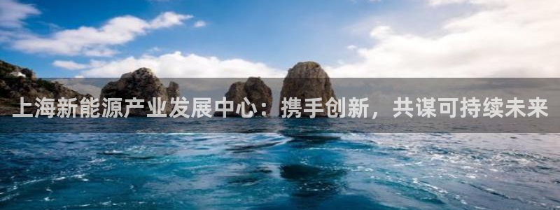 门徒娱乐什么平台直播的:上海新能源产业发展中心:携手创新,共