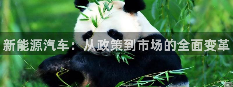 门徒娱乐能挣钱嘛