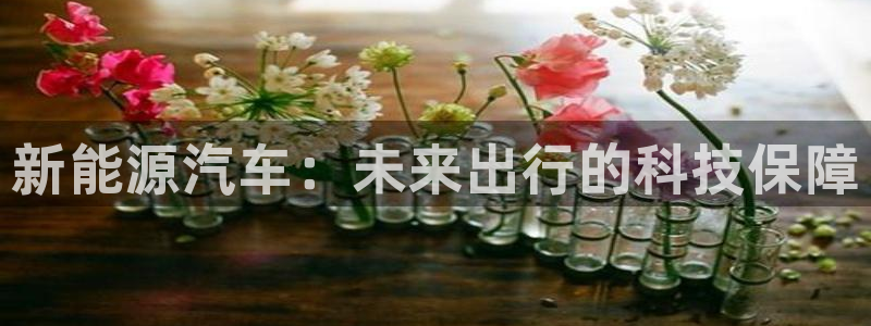 门徒娱乐巾67五壹叁八:新能源汽车:未来出行的科技保障