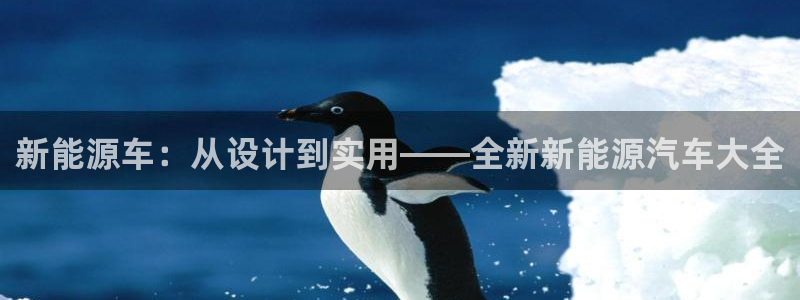 门徒娱乐老板怎么称呼的:新能源车:从设计到实用——全新新能源