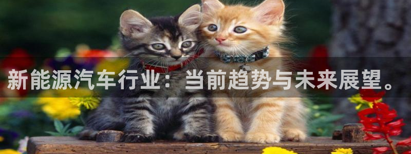 门徒娱乐登陆网站入口:新能源汽车行业:当前趋势与未来展望。