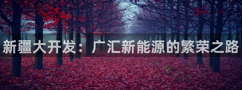 门徒娱乐是做什么的公司