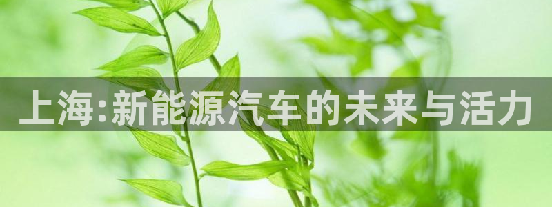 门徒娱乐平台登录首页：上海:新能源汽车的
