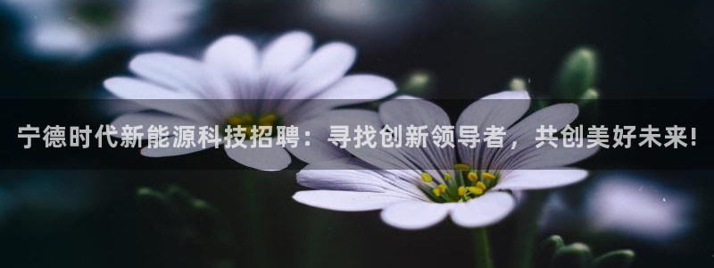 门徒娱乐是不是搞诈骗的:宁德时代新能源科技招聘:寻找创新领导