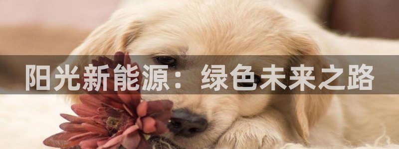 门徒娱乐怎么注册会员卡：阳光新能源：绿色