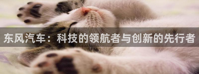 门徒娱乐线路图高清大图：东风汽车：科技的