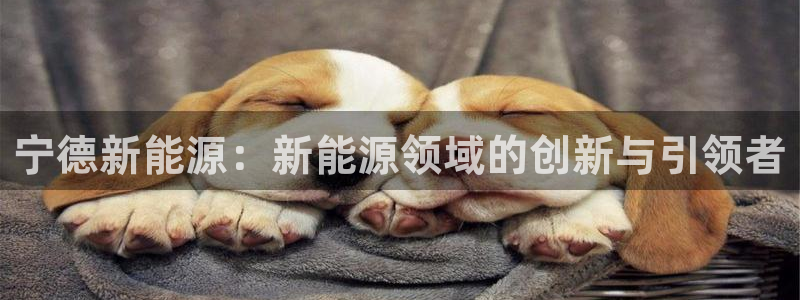 娱乐门徒小说下载:宁德新能源:新能源领域的创新与引领者