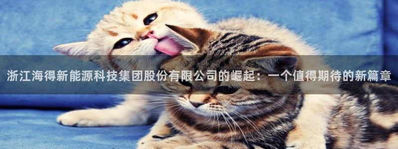 门徒娱乐行业新闻:浙江海得新能源科技集团股份有限公司的崛起: