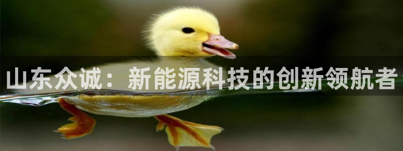 门徒第娱乐测速:山东众诚:新能源科技的创新领航者