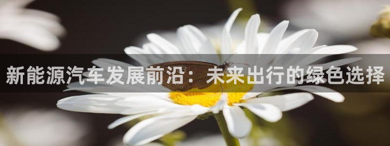 门徒娱乐行业新闻报道:新能源汽车发展前沿:未来出行的绿色选择