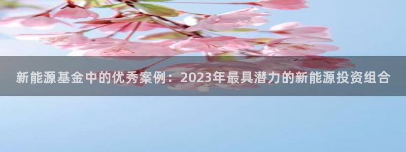 门徒娱乐官网下载入口