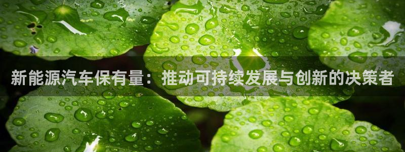 门徒娱乐代理待遇
