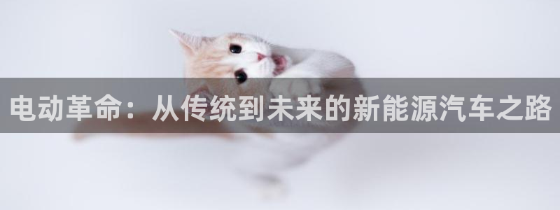 门徒娱乐会13判官3O678:电动革命:从传统到未来的新能源