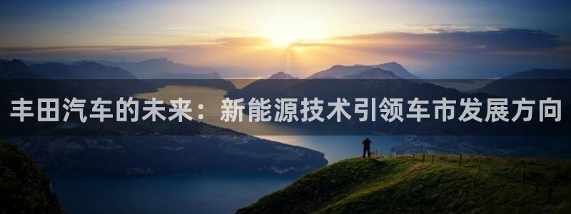 门徒娱乐团队介绍:丰田汽车的未来:新能源技术引领车市发展方向