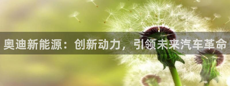 门徒娱乐线路图高清图片:奥迪新能源:创新动力,引领未来汽车革
