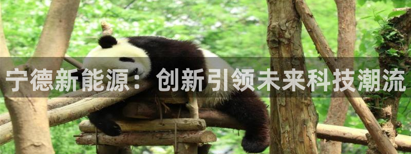 门徒娱乐怎么样知乎小说:宁德新能源:创新引领未来科技潮流
