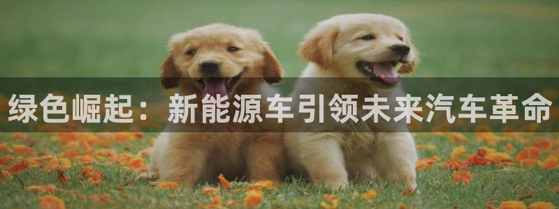 夏洛特娱乐门徒