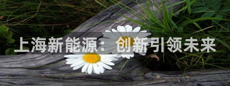 门徒娱乐什么平台:上海新能源:创新引领未来