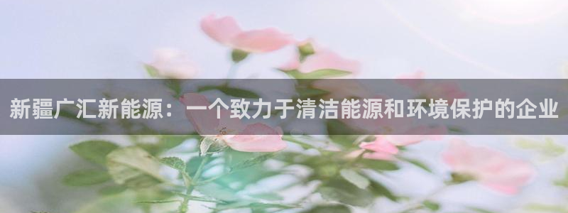 娱乐门徒完结了吗小说：新疆广汇新能源：一