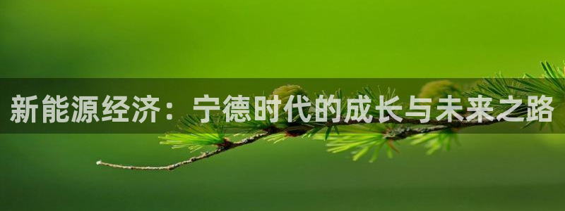 门徒娱乐彩票官网下载：新能源经济：宁德时