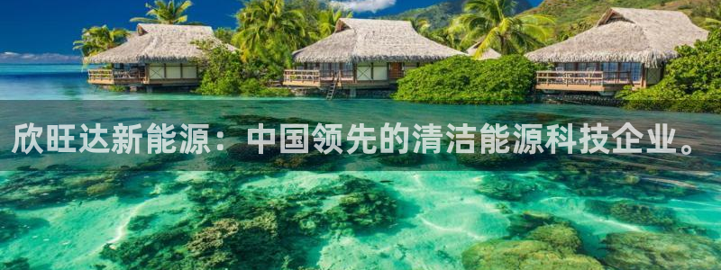 门徒娱乐是：欣旺达新能源：中国领先的清洁