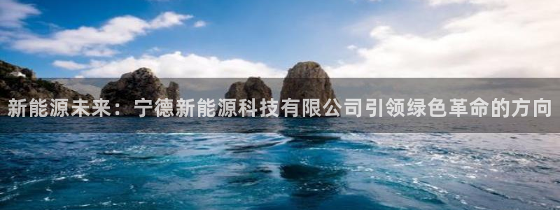 门徒娱乐平台登录地址：新能源未来：宁德新