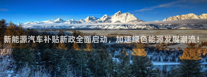 门徒娱乐手机登录版下载:新能源汽车补贴新政全面启动,加速绿色