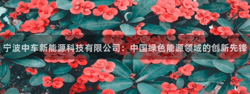 门徒娱乐圈主管报道是谁:宁波中车新能源科技有限公司:中国绿色