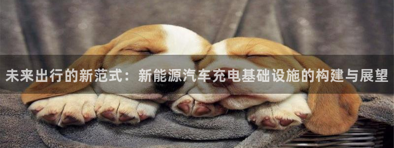门徒娱乐集团是干嘛的啊:未来出行的新范式:新能源汽车充电基础