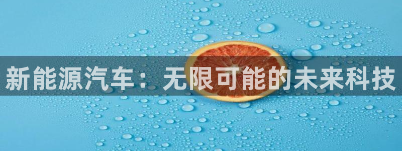 门徒娱乐与67五壹叁八：新能源汽车：无限