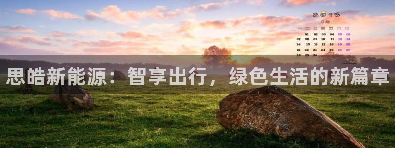 举报门徒娱乐场所电话：思皓新能源：智享出