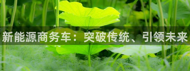 门徒娱乐网页版登录不上：新能源商务车：突