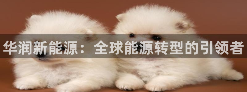 门徒娱乐注册官方账号